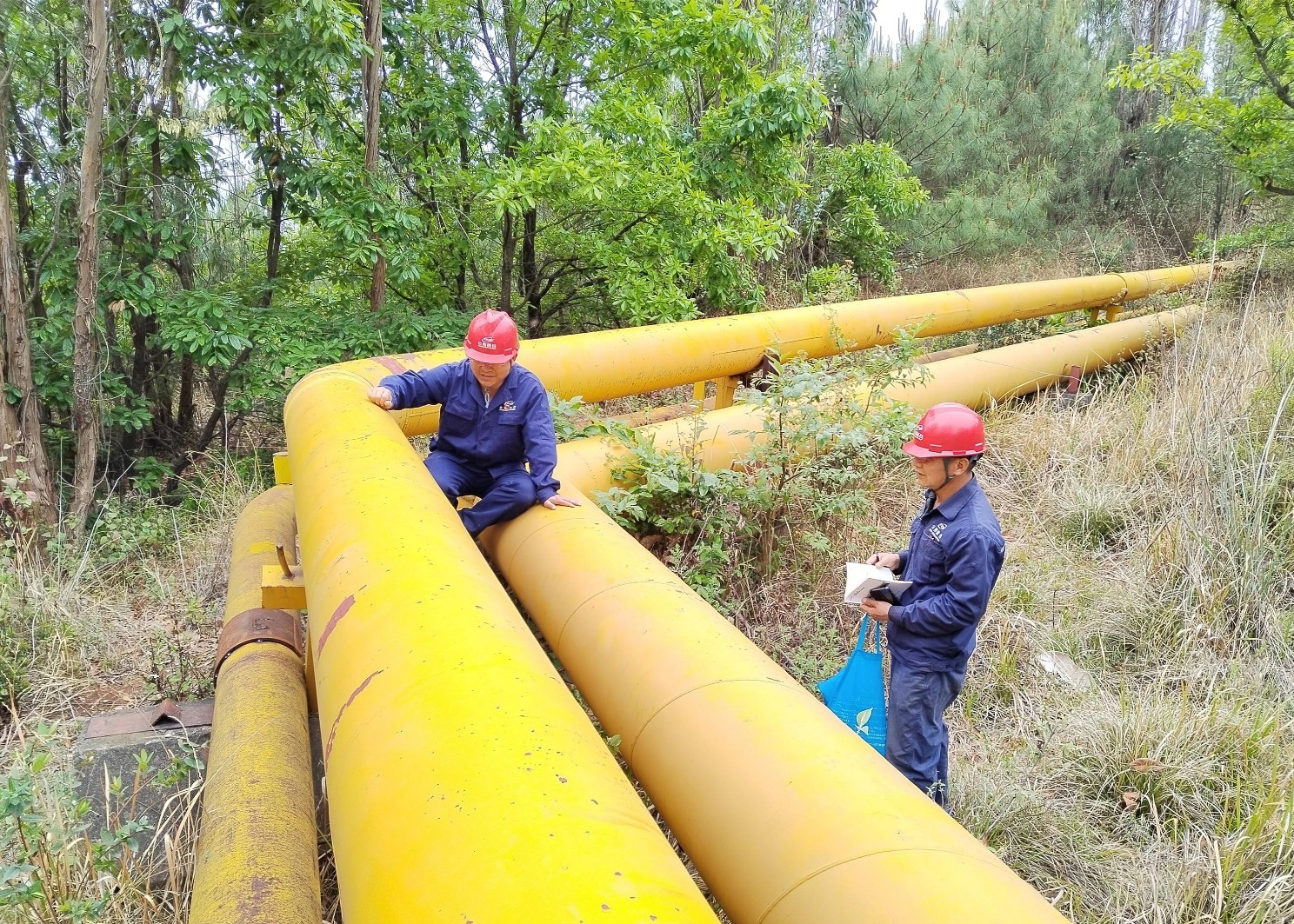 1658736977493192.jpg 2204201423000008506.jpg