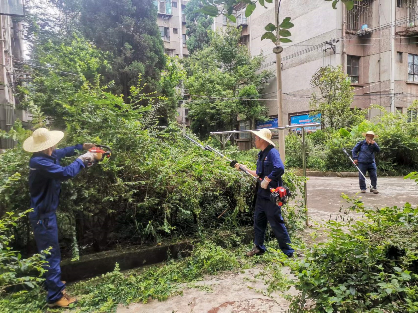 1661763377624832.jpg 2208080839000002035.jpg