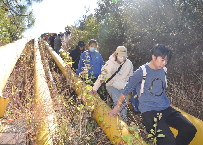 1668583333643487.png image.png