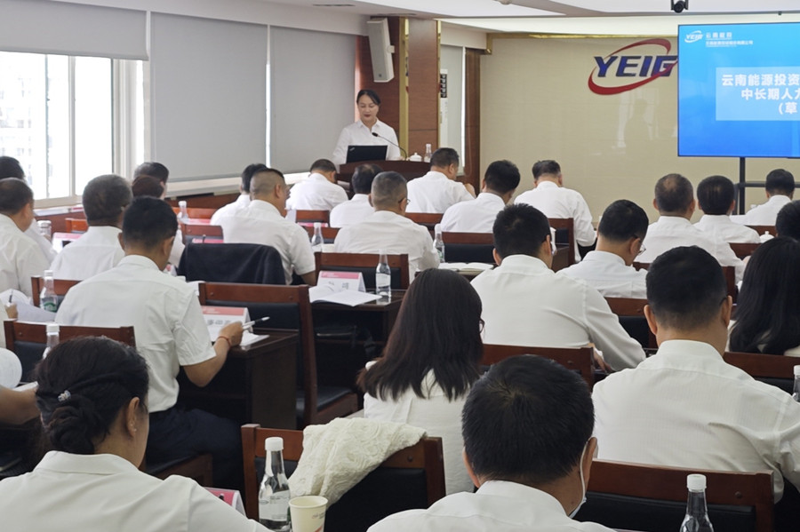 1716882116682517.jpg 3-中长期人力资源规划审议_副本.jpg