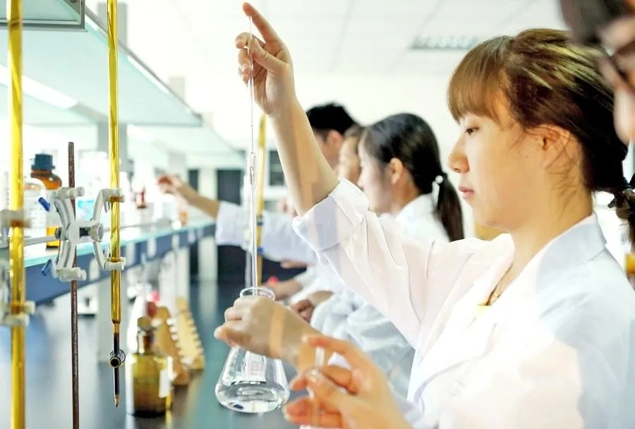 1729149207474000.jpg 640.webp.jpg