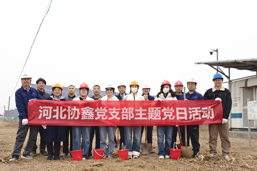 1742803379638131.png 图片1_副本.png