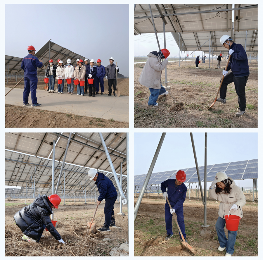 1742803502959726.png 图片2_副本.png