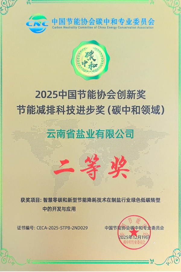 云南省盐业2025中国节能协会创新奖证书_01_副本.jpg